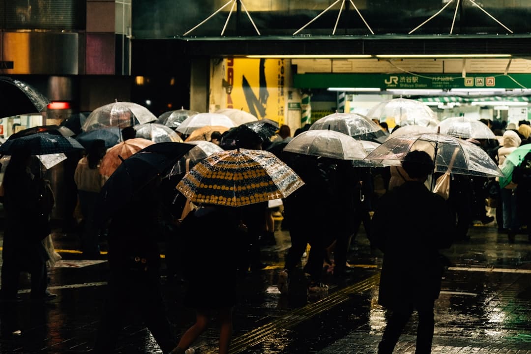 陕西省气象台晋级发布暴雨黄色预警 陕西发布山洪灾祸赤色预警